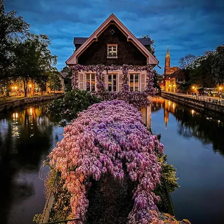 Appartamento La Résidence St Arnould, à 10 Min Du Centre De Strasbourg